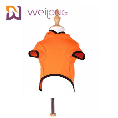 Hoodie Cat Dog Clothes do cão de Autumn Embroidery Face Halloween Pumpkin